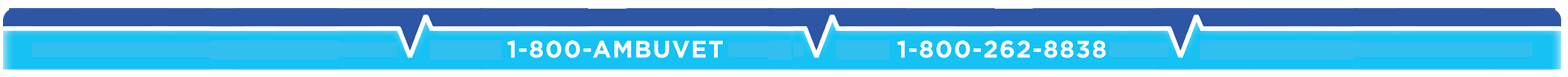 1800-262-8838 contact ambuvet footer