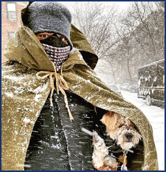 ambuvet partner with scratch to find an affordable pet care payment plan in NY. input phone number to receive instant approval, plans as low as 0%. does not affect credit score to search for payment plans. NEW offering from ambuvet to help our clients' pets receive immediate care.