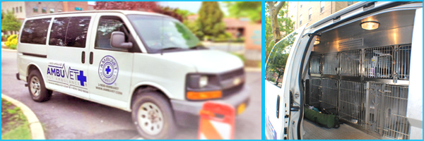 Transport Tuesdays are a premium one way or pick up and drop off service at a regular scheduled appointment. call ahead to request a tuesday transport and to request a pick up following the procedure for round trip estimate of regular animal transport from a veterinary appointment. thank you for choosing ambuvet