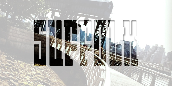 Bridge of bridge to Commack, Huntington, Selden Riverhead, West Islip counties for pet hospitals open 24 hours 7 days a week